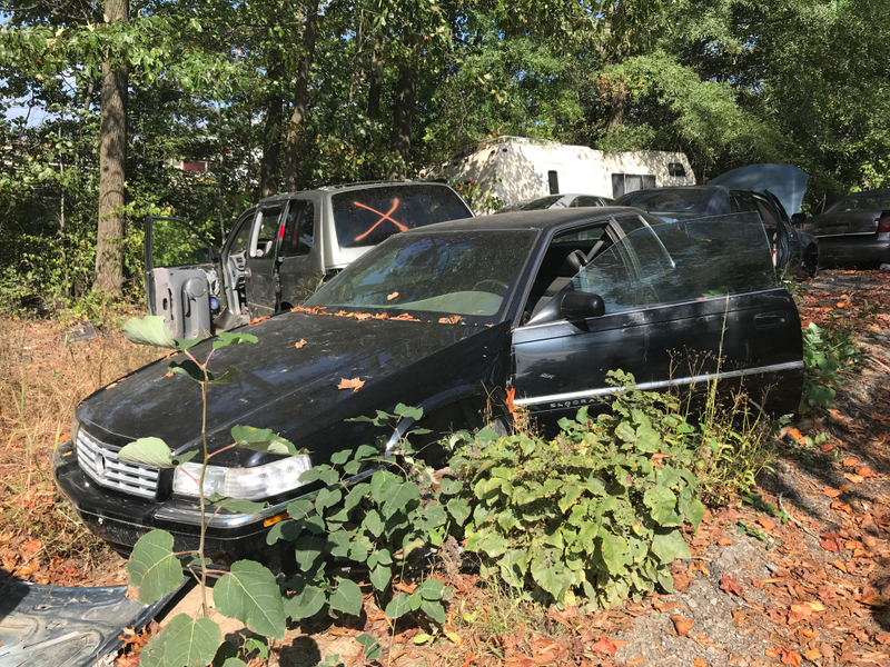 Another Eldorado, though of a different gen.